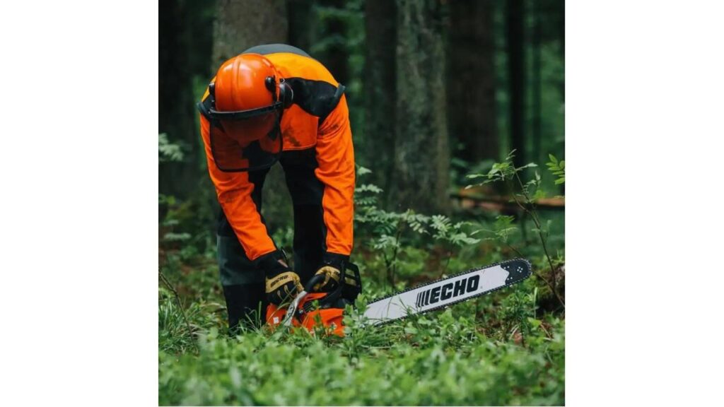 Best Chainsaws