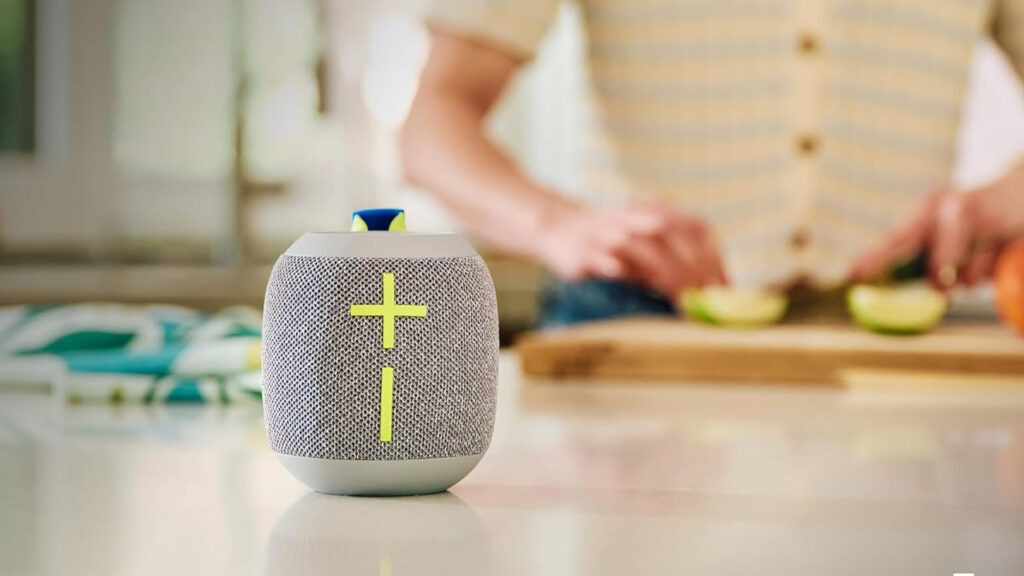 Wonderboom 4