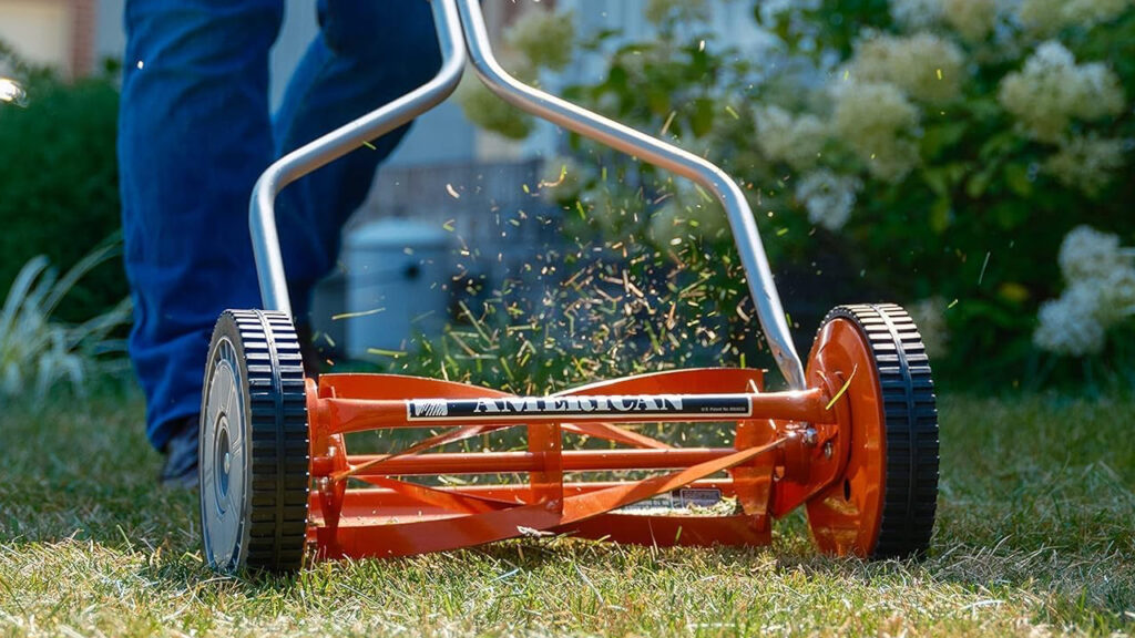 Best Lawn Mowers