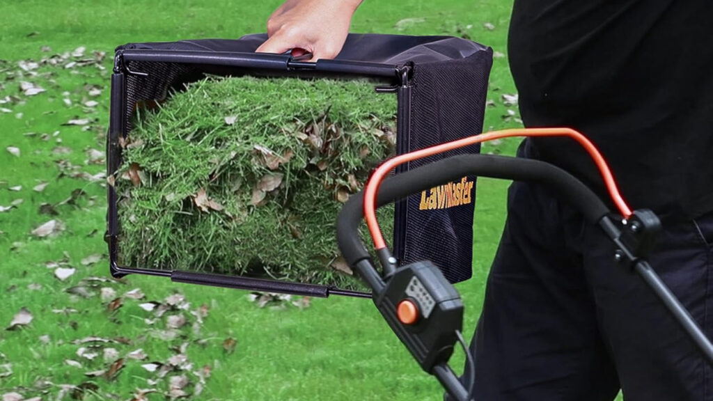 Best Lawn Mowers