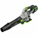 EGO LB6504